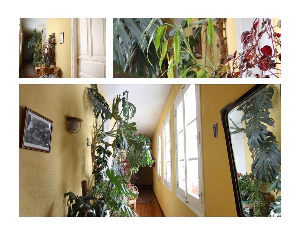 Hostal Bayon León Kültér fotó